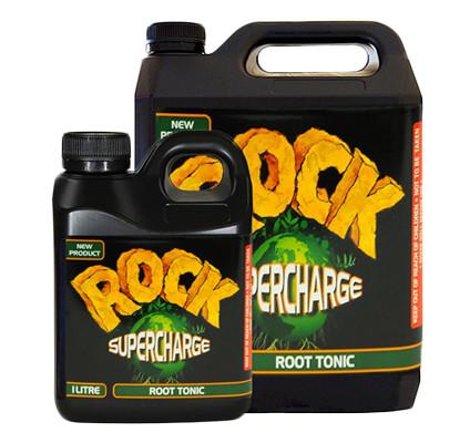 Rock SuperCharge Root Tonic