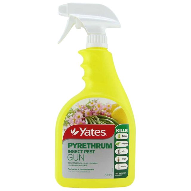 Pyrethium Insect Control