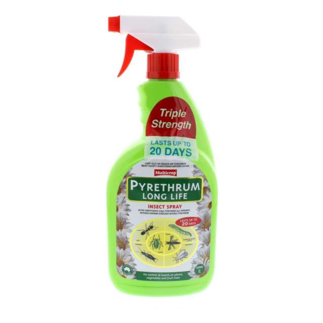 Pyrethium Insect Spray