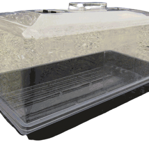 Propagation Tray with Lid