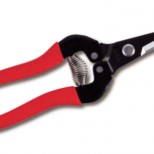 Fruit & Plant Pruner