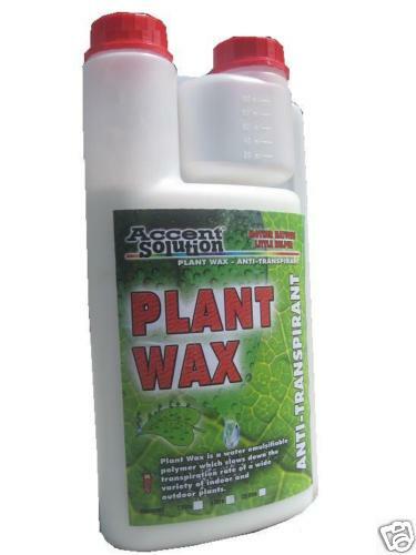Plant Wax